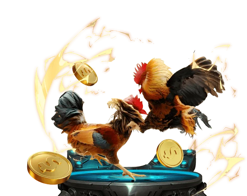 Chiến lược chơi máy đánh bạc